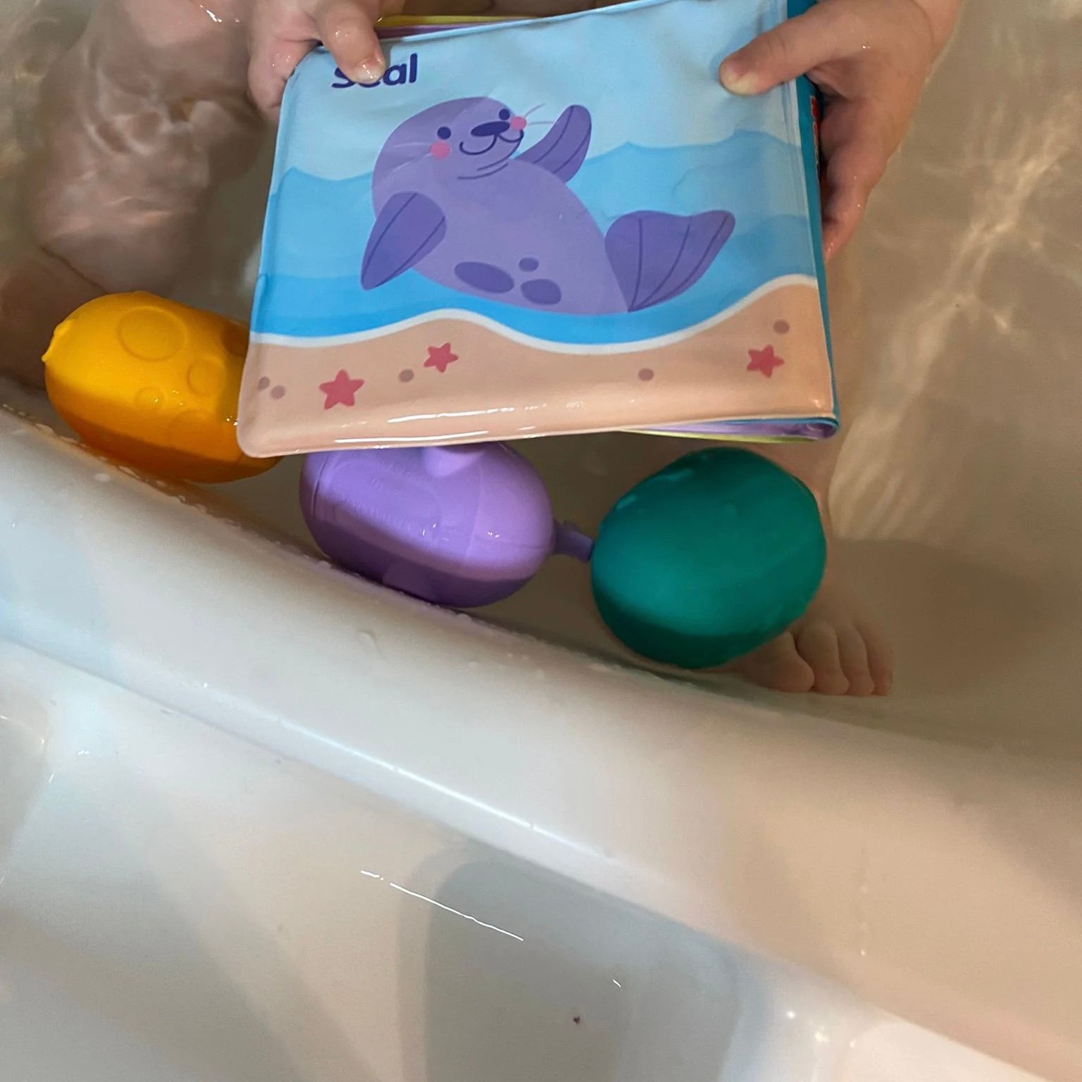 Librito para baño